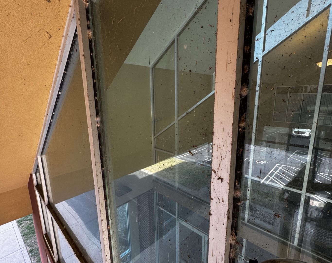 Professional Window Cleaning Service in Grayson County, KY for clean residential windows