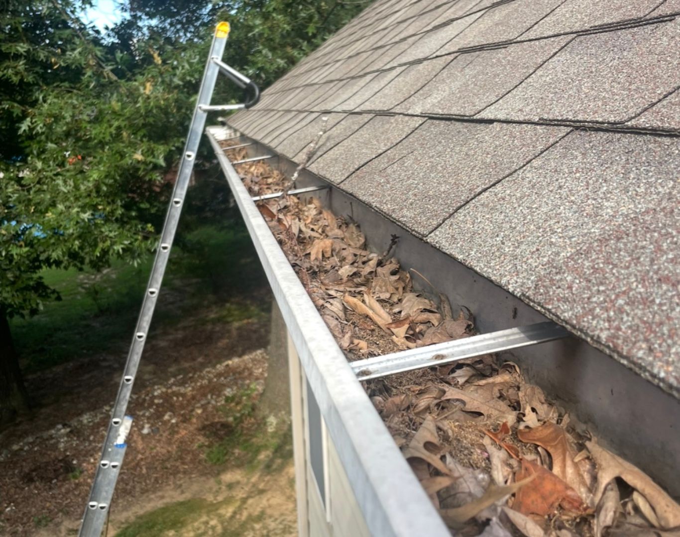 Professional Gutter Cleaning Service in Rineyville, KY for residential properties